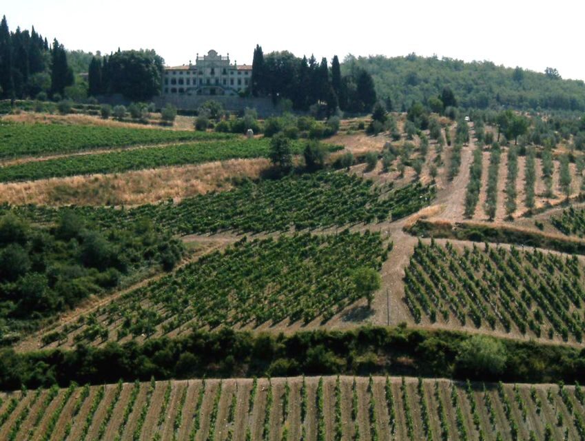 From Siena: Chianti and Castles Tour with Wine Tastings - From Siena to Chianti: Hotel Minerva to the first viewpoints