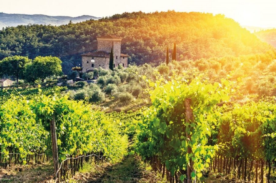 From Siena: Chianti and Castles Tour with Wine Tastings - Price and value: is $100 worth five hours in Chianti?