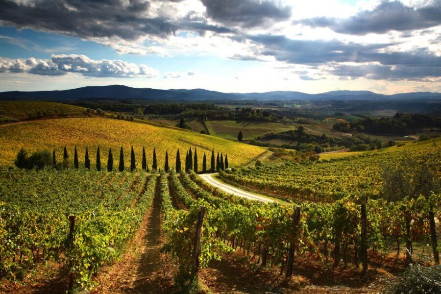 From Siena: Chianti and San Gimignano Sunset Tour - Key Moments Worth Pinning Down