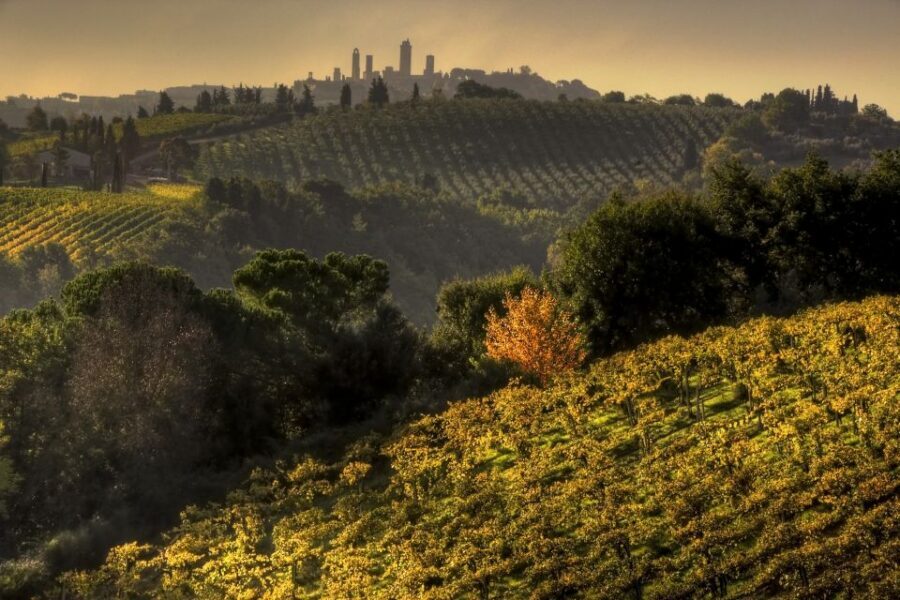 From Siena: Chianti and San Gimignano Sunset Tour - The Big Idea: A Car-Free Taste of Chianti to San Gimignano