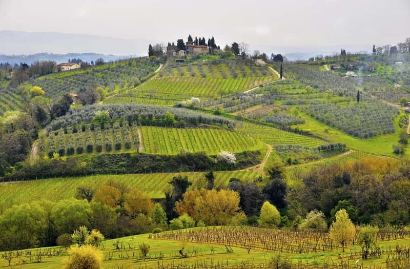 From Siena/Chianti: Dinner & Drinks in the Chianti Vineyards - Key points to know before you go