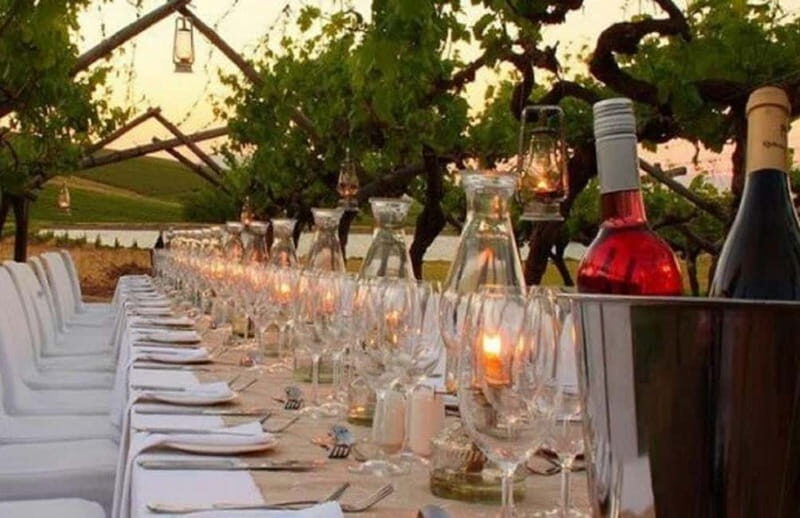From Siena/Chianti: Dinner & Drinks in the Chianti Vineyards - Should you book this Chianti vineyards dinner?