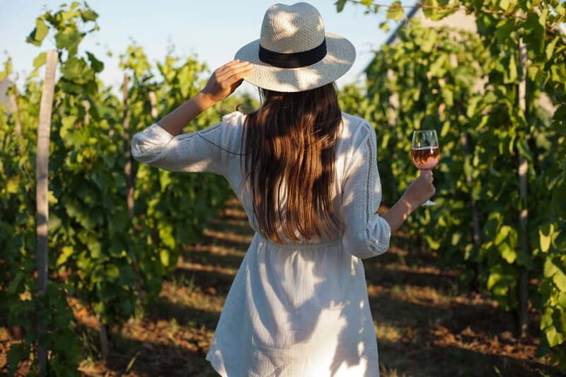 From Siena/Chianti: Dinner & Drinks in the Chianti Vineyards - Why a Chianti farmhouse dinner at sunset hits so well