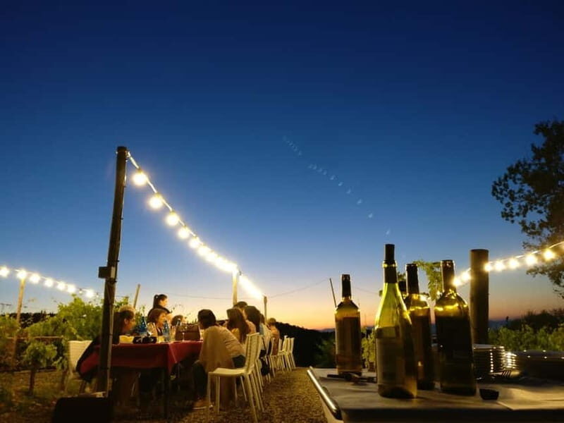 From Siena/Chianti: Dinner & Drinks in the Chianti Vineyards - Winery tour and wine-route tasting: what happens before dinner