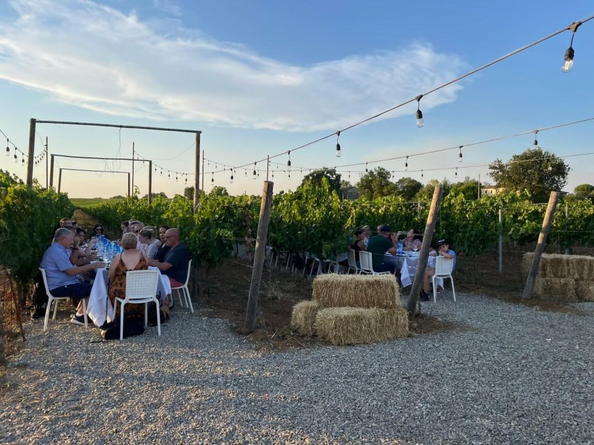 From Siena/Chianti: Dinner & Drinks in the Chianti Vineyards - The candle-lit 4-course dinner: Tuscan classics, plus grilled favorites