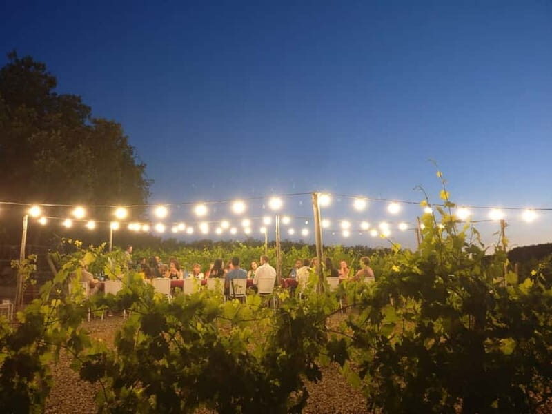 From Siena/Chianti: Dinner & Drinks in the Chianti Vineyards - Price and value: what $123.48 actually buys you