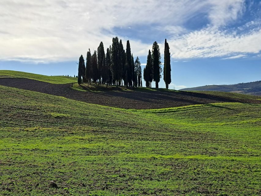 From Siena: Pienza and Montepulciano Small-Group Tour - Montepulciano’s Piazza Grande and palaces on a steep hill