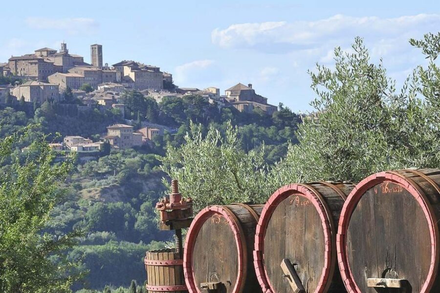 From Siena: Tuscany Hills Wine Tour - How Much Walking and Stairs to Expect
