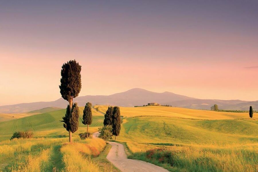 From Siena: Tuscany Hills Wine Tour - Price and Value: What $146 Gets You (and What It Doesn’t)