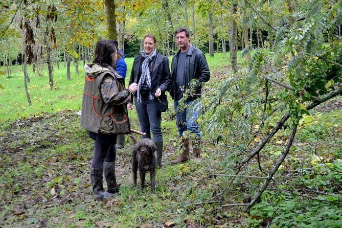 Full-Day Small-Group Truffle Hunting in Tuscany with Lunch - Key highlights