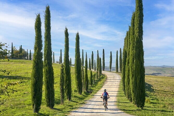 Full Day Tour to Val d'Orcia and Gladiator's Fields with Wines - Montepulciano old town and Vino Nobile: the day’s second wine chapter