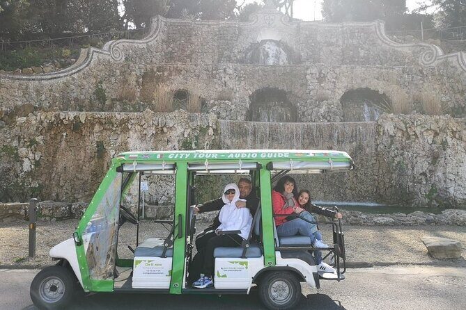 Golf Cart Tour to Fiesole Roman Theatre and Museum - Private Tour Setup: Comfort, Group Size, and Cart Capacity