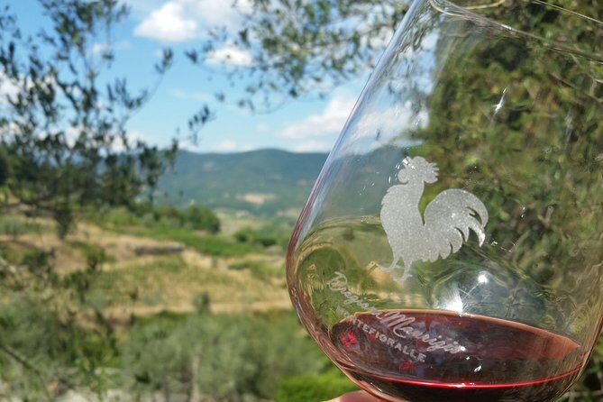Greve in Chianti Wine Tasting and Winery Tour - Key highlights you should know before you go