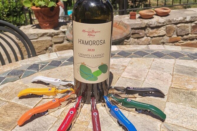 Greve in Chianti Wine Tasting and Winery Tour - Olive oil tasting: the palate prep most wine tours skip