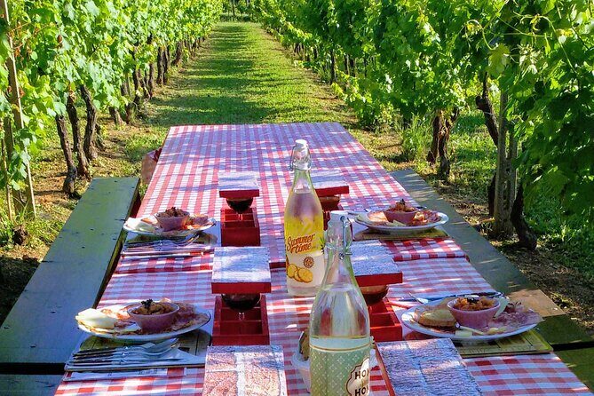 Guided E-Bike Tour with Wine Tasting from Lucca - Key things to know before you go