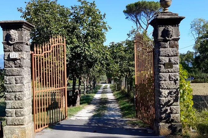 Guided E-Bike Tour with Wine Tasting from Lucca - E-bike Lucca walls + vineyard wine: why this tour works