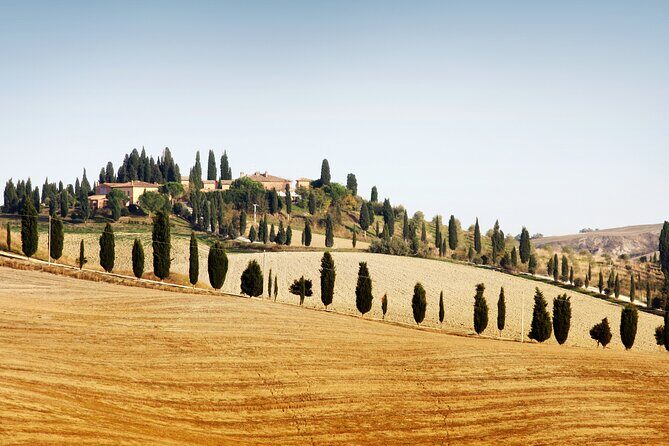 Hidden Castles & Chianti Wine Experience– Small Group - From Siena Station by minivan: comfort, meeting time, and road reality