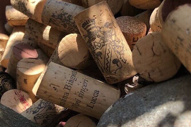 Honest Wines- Wine tasting at Cantina Biagiotti - How long it takes and why the small-group size matters