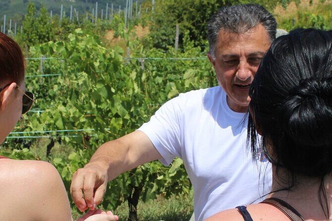 Honest Wines- Wine tasting at Cantina Biagiotti - Getting to Cantina Biagiotti: where to meet and what to expect
