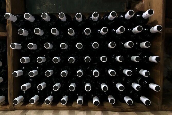 Honest Wines- Wine tasting at Cantina Biagiotti - Price and value: why $54.31 can make sense