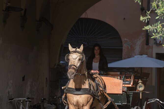 Lucca Classic – Carriage Tour in the Old Town - Why a horse carriage works so well in Lucca’s old town