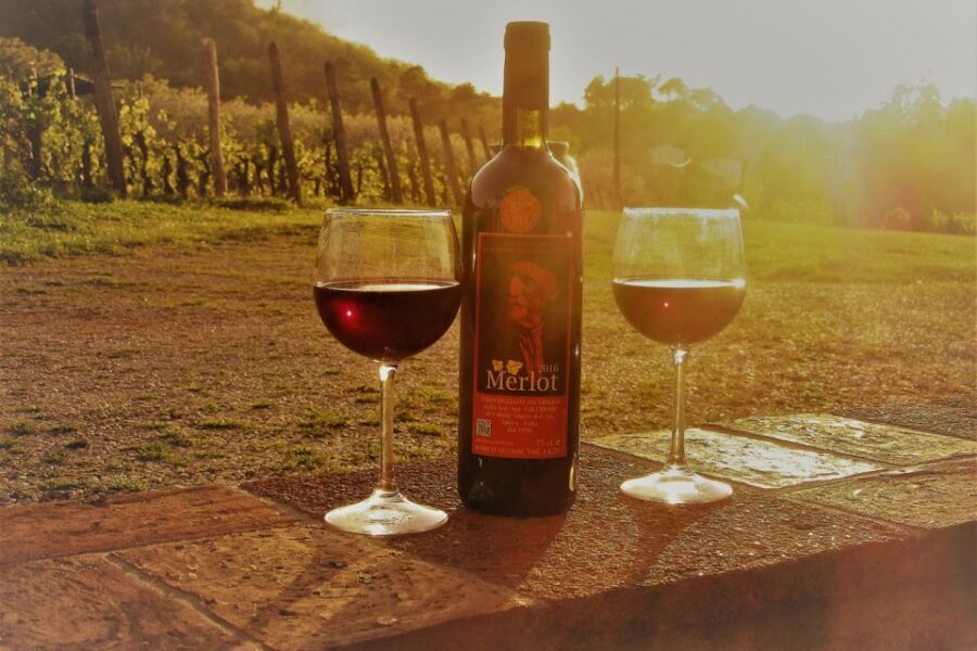 Lucca: Guided E-Bike and Wine Tour - Key highlights you’ll feel right away