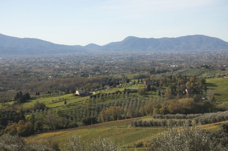 Lucca: Guided E-Bike and Wine Tour - Wine tasting with bruschetta, cheese, meats, and olive oil