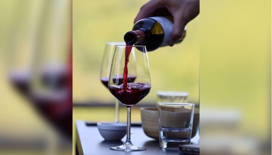 Lucca: Guided Winery Tour with Wine Tasting - Tenuta Adamo’s Lucca setting: wine with a view