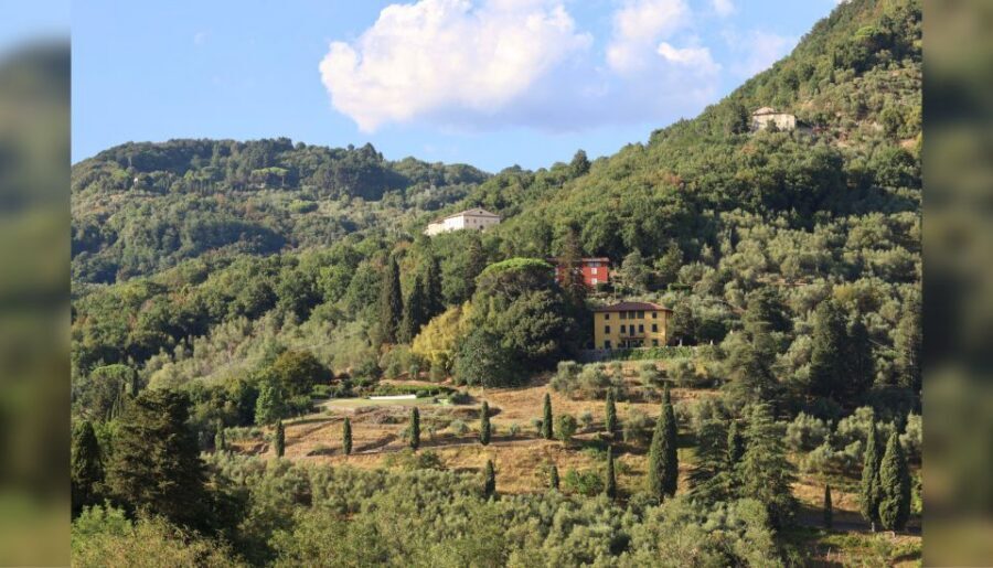 Lucca: Guided Winery Tour with Wine Tasting - Getting there from Lucca: simple options that save time