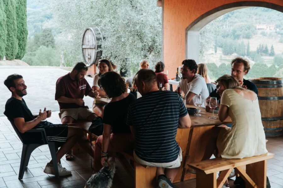Lucca: Guided Winery Tour with Wine Tasting - The 90 minutes that actually feel like a day trip