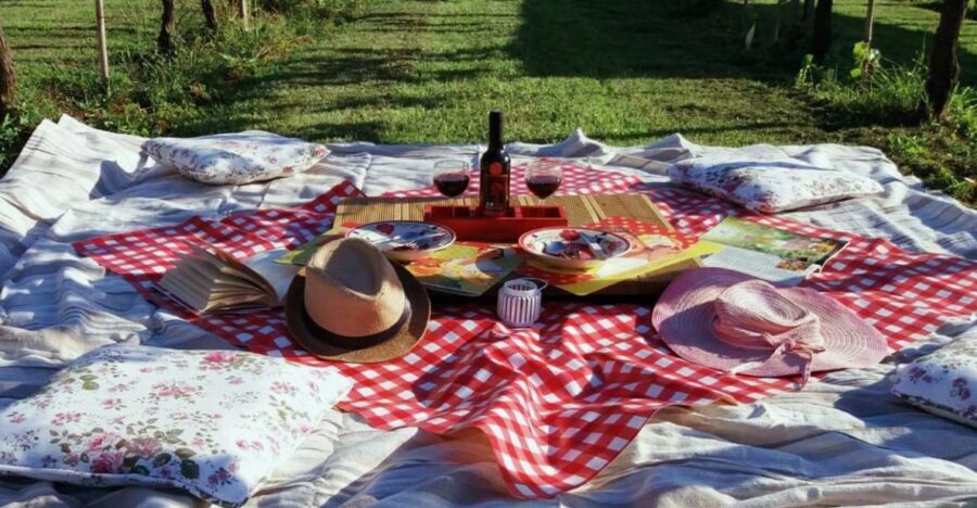 Lucca: Picnic Lunch at a Vineyard by Bike - Key things to know before you go