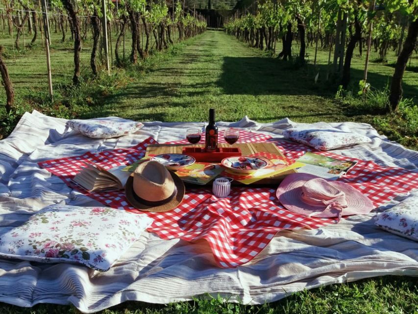 Lucca: Picnic Lunch at a Vineyard by Bike - Leaving Lucca Walls: The First Stretch and Why It Feels Easier Than You Think