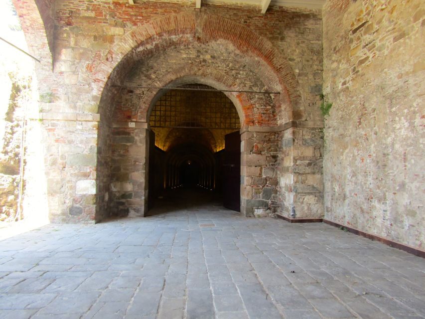Lucca: Renaissance City Walls Walking Tour - On top of the walls: a park path built on fortification logic
