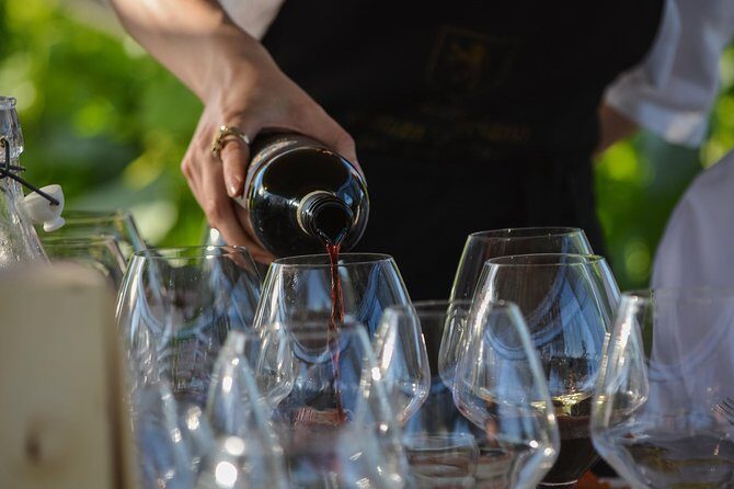 Lunch with Wine Tasting - What to Expect Day-Of: timing, meeting point, and comfort