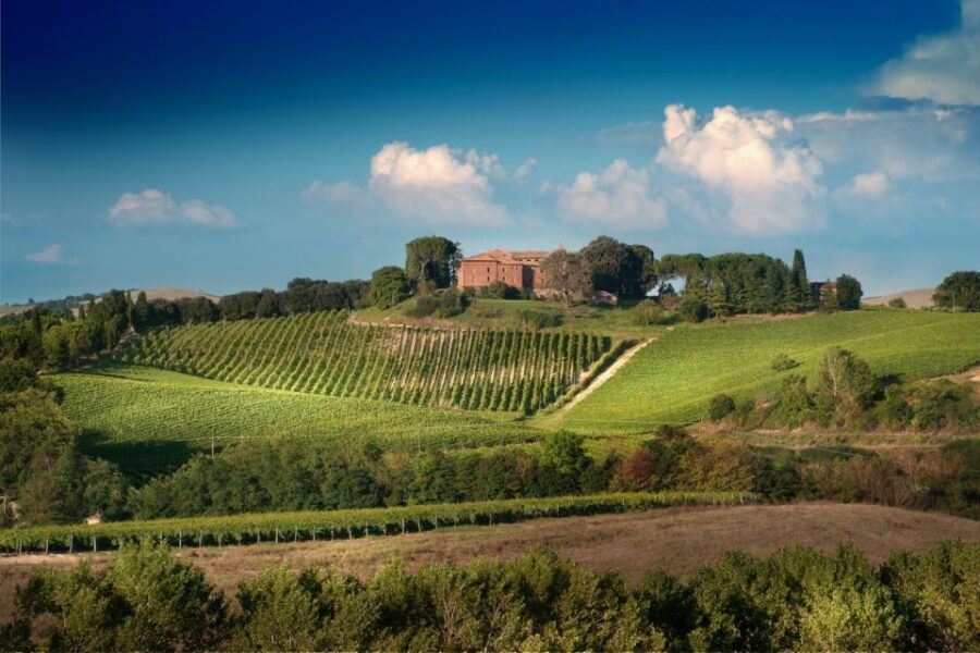 Montalcino: Brunello Wine Tasting Experience - Key highlights in plain terms