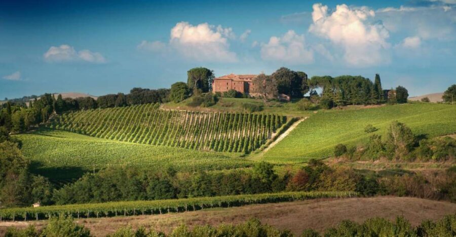Montalcino: Brunello Wine Tasting Experience - Why Montalcino’s medieval castle tasting feels different