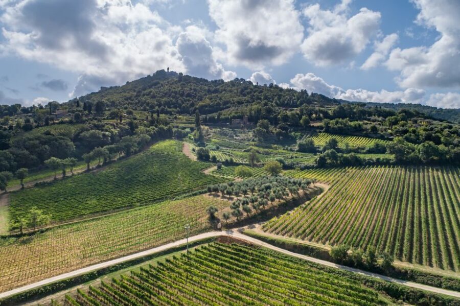 Montalcino: Private Cellar Tour, Wine Tasting & Appetizers - Key Points I’d Plan Around