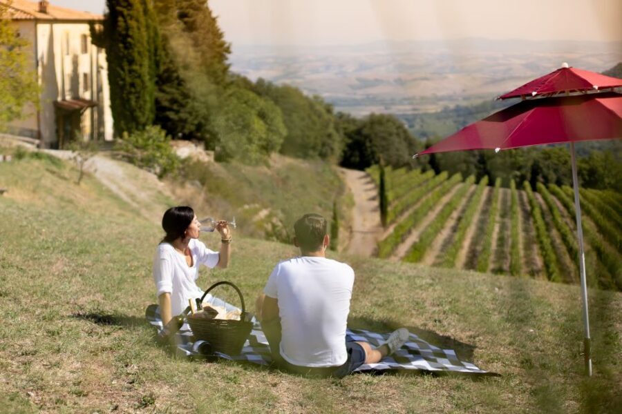 Montalcino: Vineyard Picnic with a Bottle of Wine - Key things I’d plan for