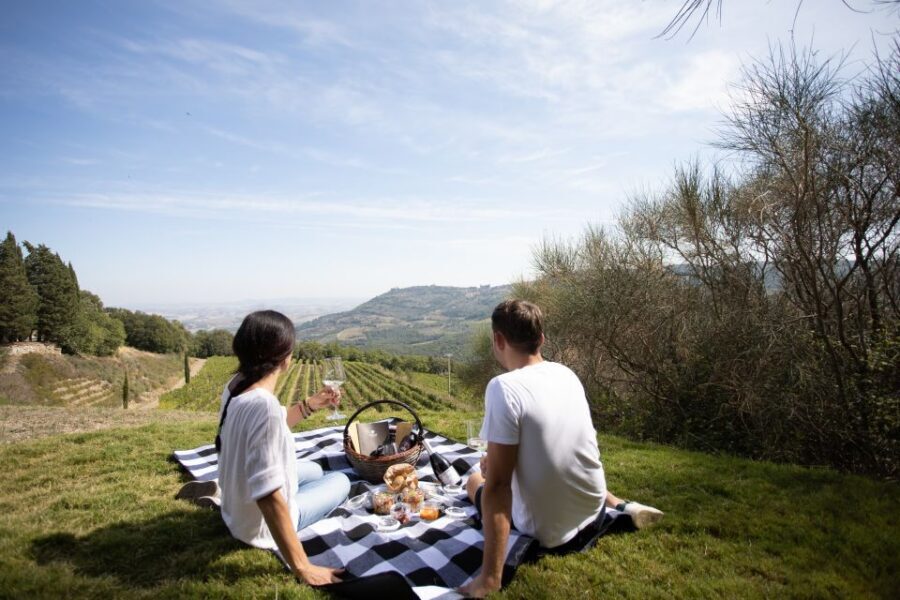 Montalcino: Vineyard Picnic with a Bottle of Wine - Corte Pavone Winery: Why This Montalcino Picnic Works