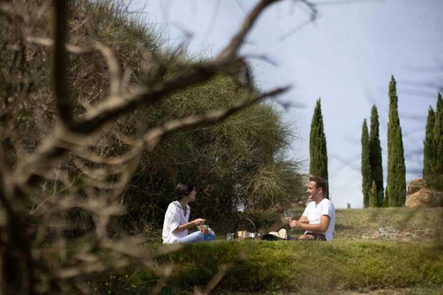 Montalcino: Vineyard Picnic with a Bottle of Wine - The Picnic Basket in the Vines: Homemade Tuscan Food, Not Pretend Food