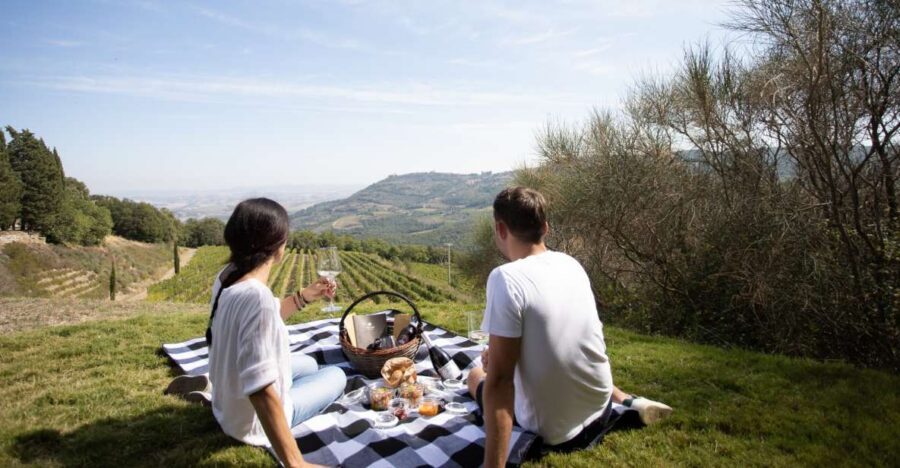 Montalcino: Vineyard Picnic with a Bottle of Wine - What You’re Really Paying For: Value at Around $47