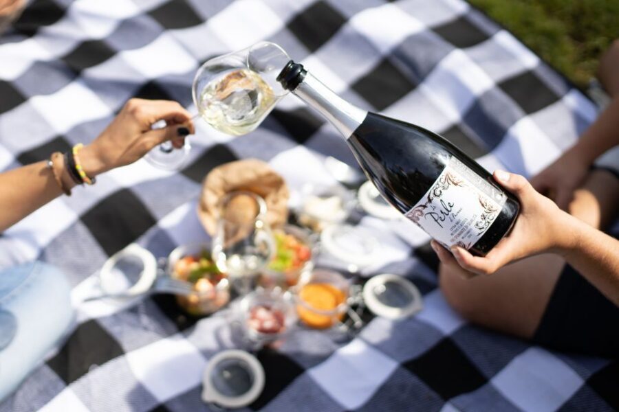 Montalcino: Vineyard Picnic with a Bottle of Wine - Who This Experience Is Best For