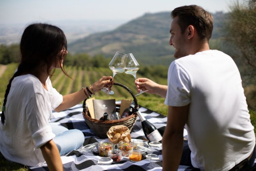 Montalcino: Vineyard Picnic with a Bottle of Wine - The Vineyard + Brunello Cru Path Tour (What You Learn)