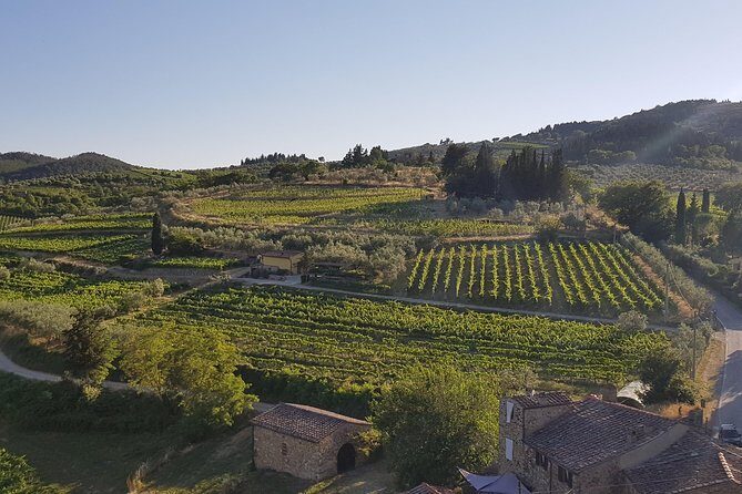 Montefioralle Winery - Tour and Wine Tasting in Chianti - The Wines You’ll Taste (and What to Watch for)