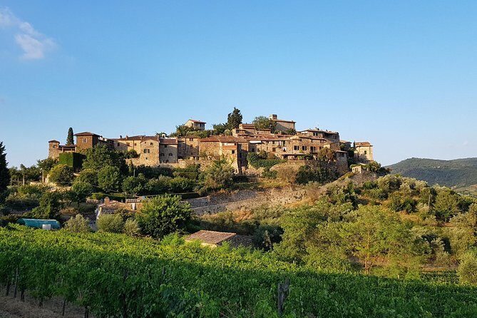 Montefioralle Winery - Tour and Wine Tasting in Chianti - Value for Money: Is $42.24 Worth It?