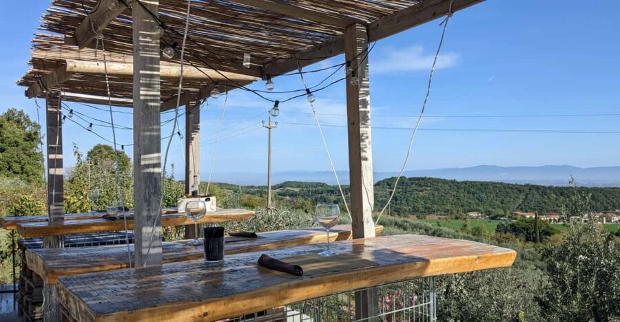 Montepulciano: Artisan Heroic Wine Tasting at the Terrace - Vineyards, Terrace Views, and a Real Montepulciano Winemaker Moment