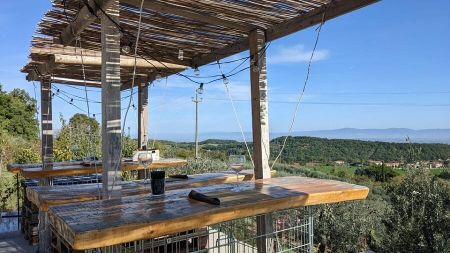 Montepulciano: Artisan Heroic Wine Tasting at the Terrace - Buying Bottles and Shipping Help
