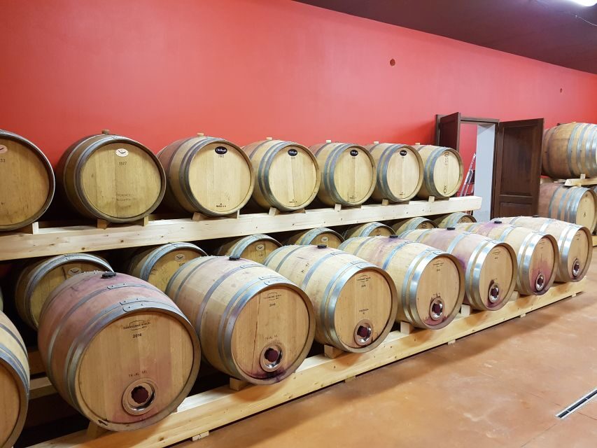 Montepulciano: Tuscan Winery Tour with Wine Tasting & Meal - Vineyard table time: 4 courses in the rows of vines