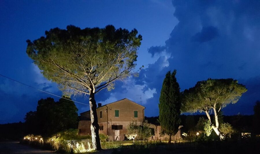 Montepulciano: Tuscan Winery Tour with Wine Tasting & Meal - Who this tour is best for (and who should skip it)