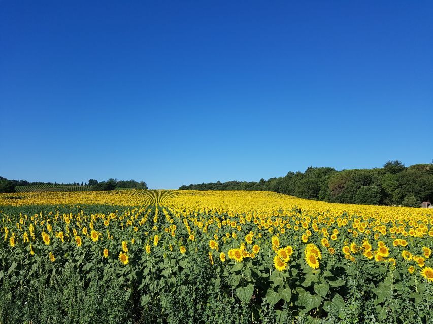 Montepulciano: Tuscan Winery Tour with Wine Tasting & Meal - Good to know before you go